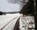 Nordhelle_Herveler_Bruch_09