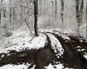 Nordhelle_Herveler_Bruch_11