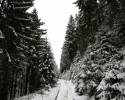 Nordhelle_Herveler_Bruch_16