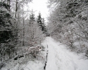 Nordhelle_Herveler_Bruch_18