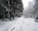 Nordhelle_Herveler_Bruch_20