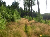 obersprockhoevel_06