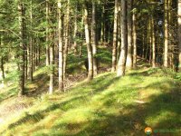 obersprockhoevel_14