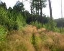 obersprockhoevel_06