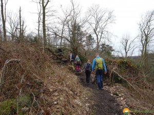 Baldeneysteig-12
