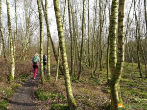 Baldeneysteig-20