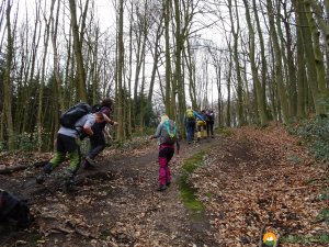 Baldeneysteig-11