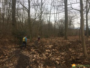 Baldeneysteig-25