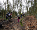 Baldeneysteig-11