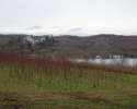 Baldeneysteig-17