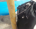 Pacsafe-Travelsafe-X25-12