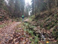 Premimiumwanderweg-Klausenbachklamm-04