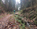 Premimiumwanderweg-Klausenbachklamm-04