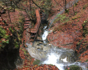 Premimiumwanderweg-Klausenbachklamm-07