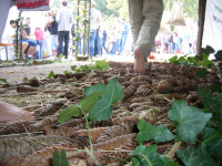 querwaldein_2