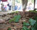 querwaldein_2