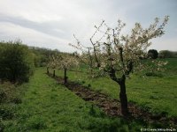 rheinsteig_tag1_03