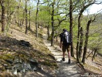 rheinsteig_tag1_09