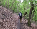 rheinsteig_tag1_01