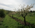 rheinsteig_tag1_03