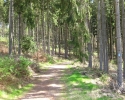 rheinsteig_tag1_07