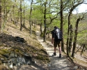 rheinsteig_tag1_09