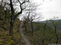 rheinsteig_tag2_05