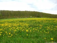rheinsteig_tag2_12