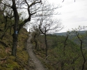 rheinsteig_tag2_05