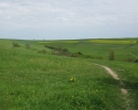 rheinsteig_tag2_09