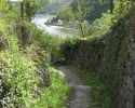 rheinsteig_tag2_11