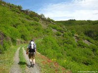 rheinsteig_tag3_13