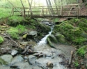 rheinsteig_tag3_03