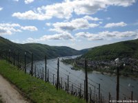 rheinsteig_tag4_02