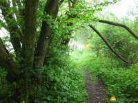 Rund-um-Breckerfeld-02