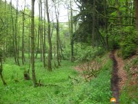 Rund-um-Breckerfeld-13