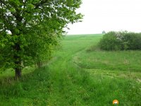 Rund-um-Breckerfeld-17