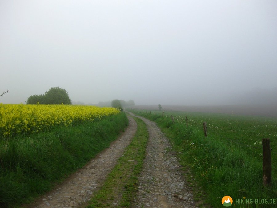 Rund-um-Breckerfeld-04