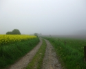 Rund-um-Breckerfeld-04
