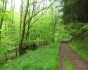 Rund-um-Breckerfeld-07