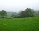 Rund-um-Breckerfeld-09