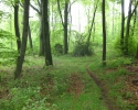 Rund-um-Breckerfeld-10