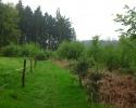 Rund-um-Breckerfeld-11