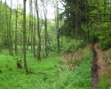 Rund-um-Breckerfeld-13
