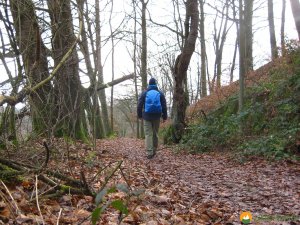 Rundwanderung_Hohensyburg_13