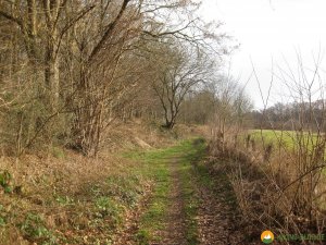 Rundwanderung_Hohensyburg_14