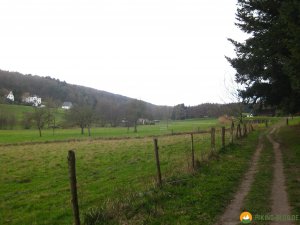 Rundwanderung_Hohensyburg_18