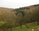 Rundwanderung_Hohensyburg_12