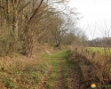 Rundwanderung_Hohensyburg_14