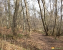 Rundwanderung_Hohensyburg_15